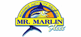 Mr Marlin Fish Gallery